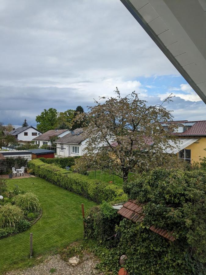 Badischer Neubau-Ruhe-Kunst-Natur Rheinau Exterior foto