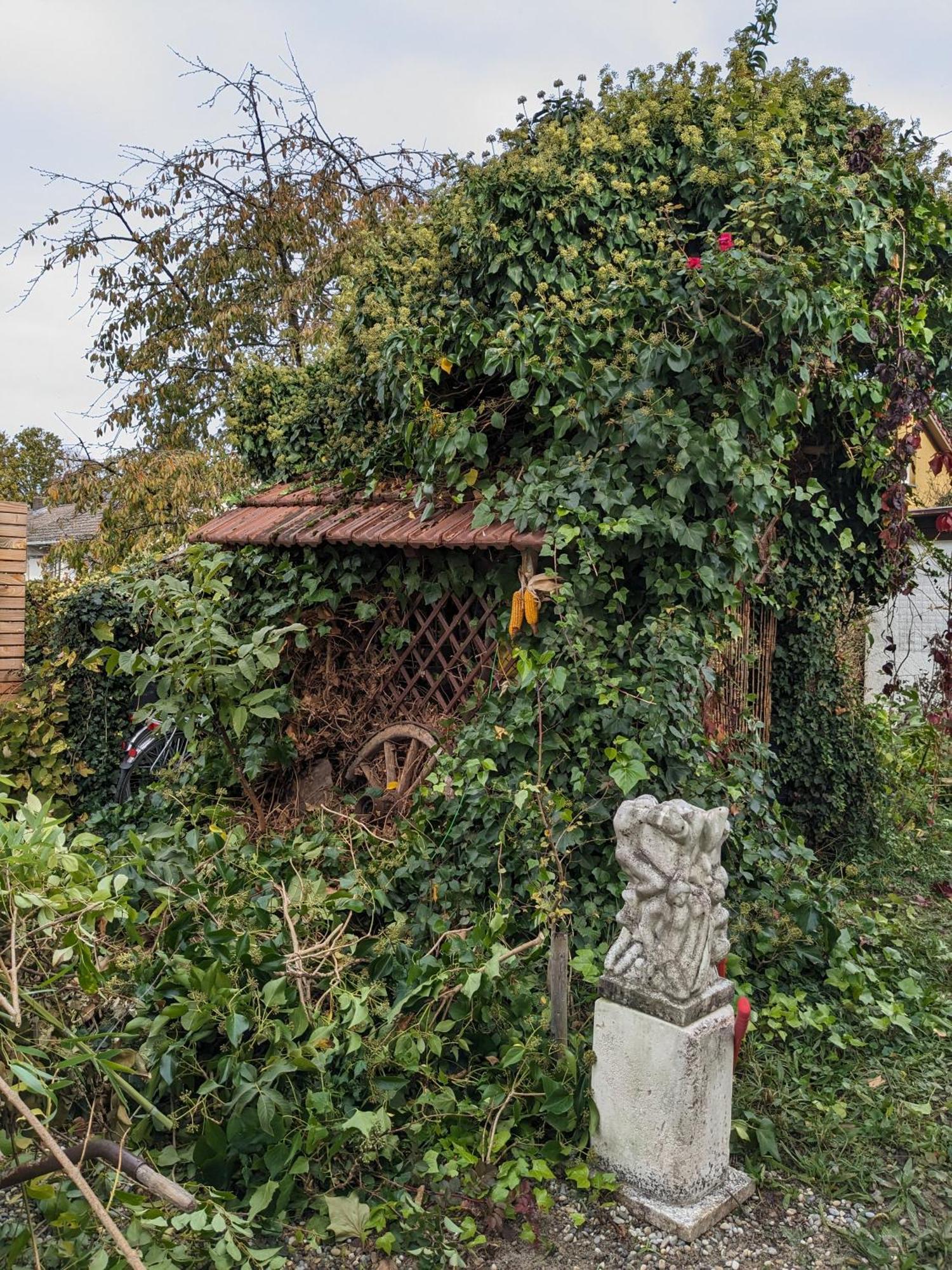 Badischer Neubau-Ruhe-Kunst-Natur Rheinau Exterior foto