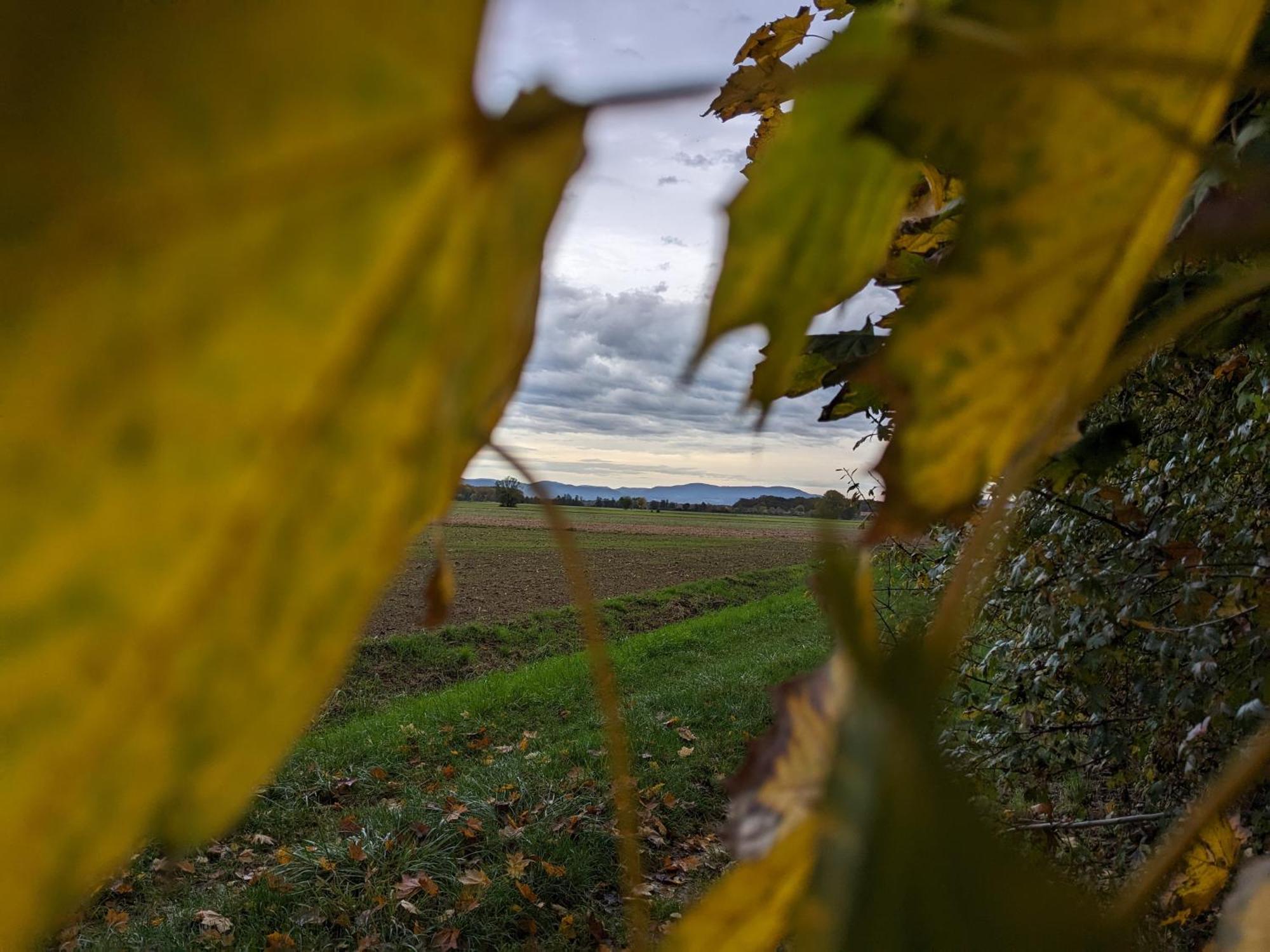 Badischer Neubau-Ruhe-Kunst-Natur Rheinau Exterior foto