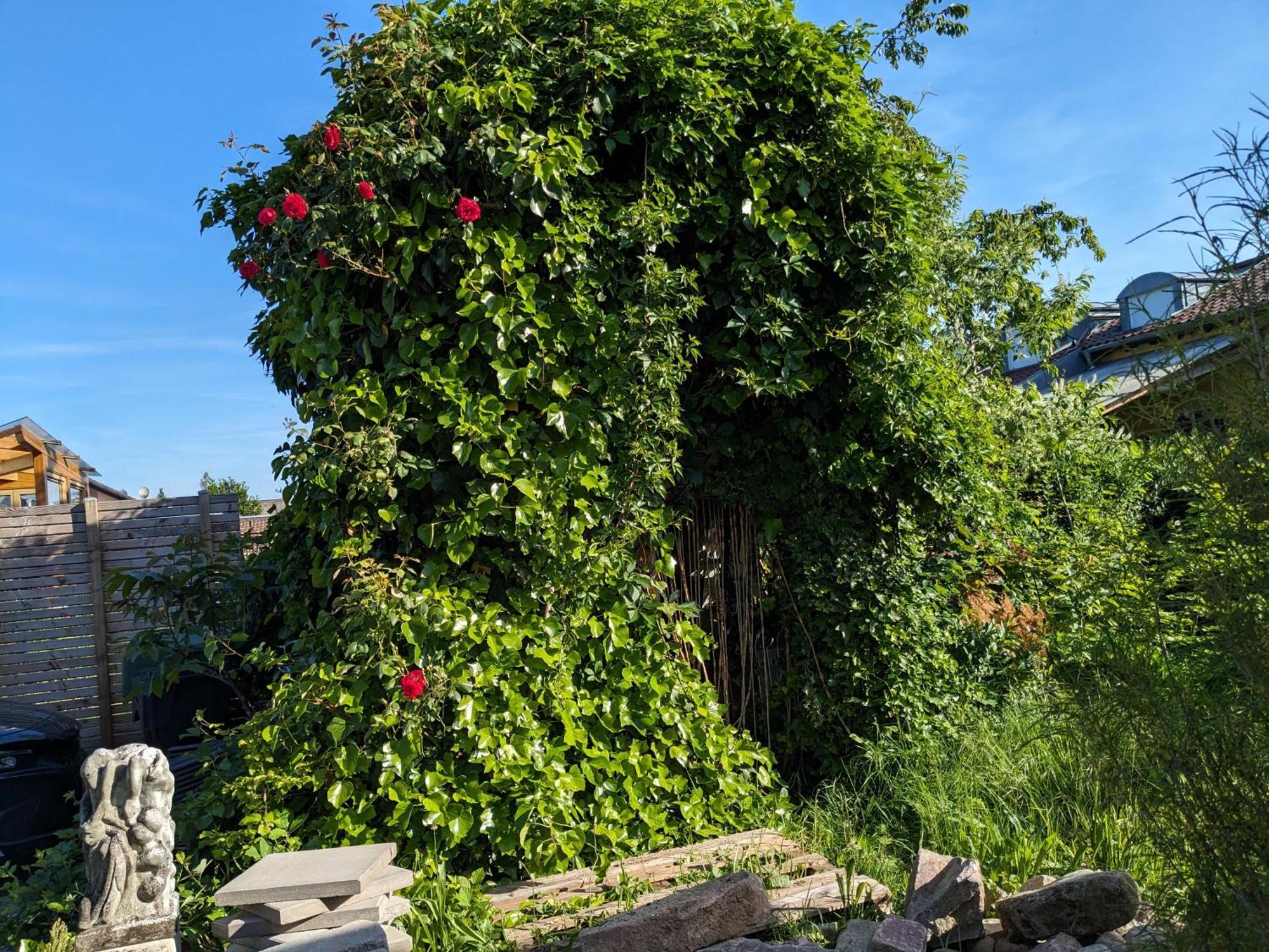 Badischer Neubau-Ruhe-Kunst-Natur Rheinau Exterior foto