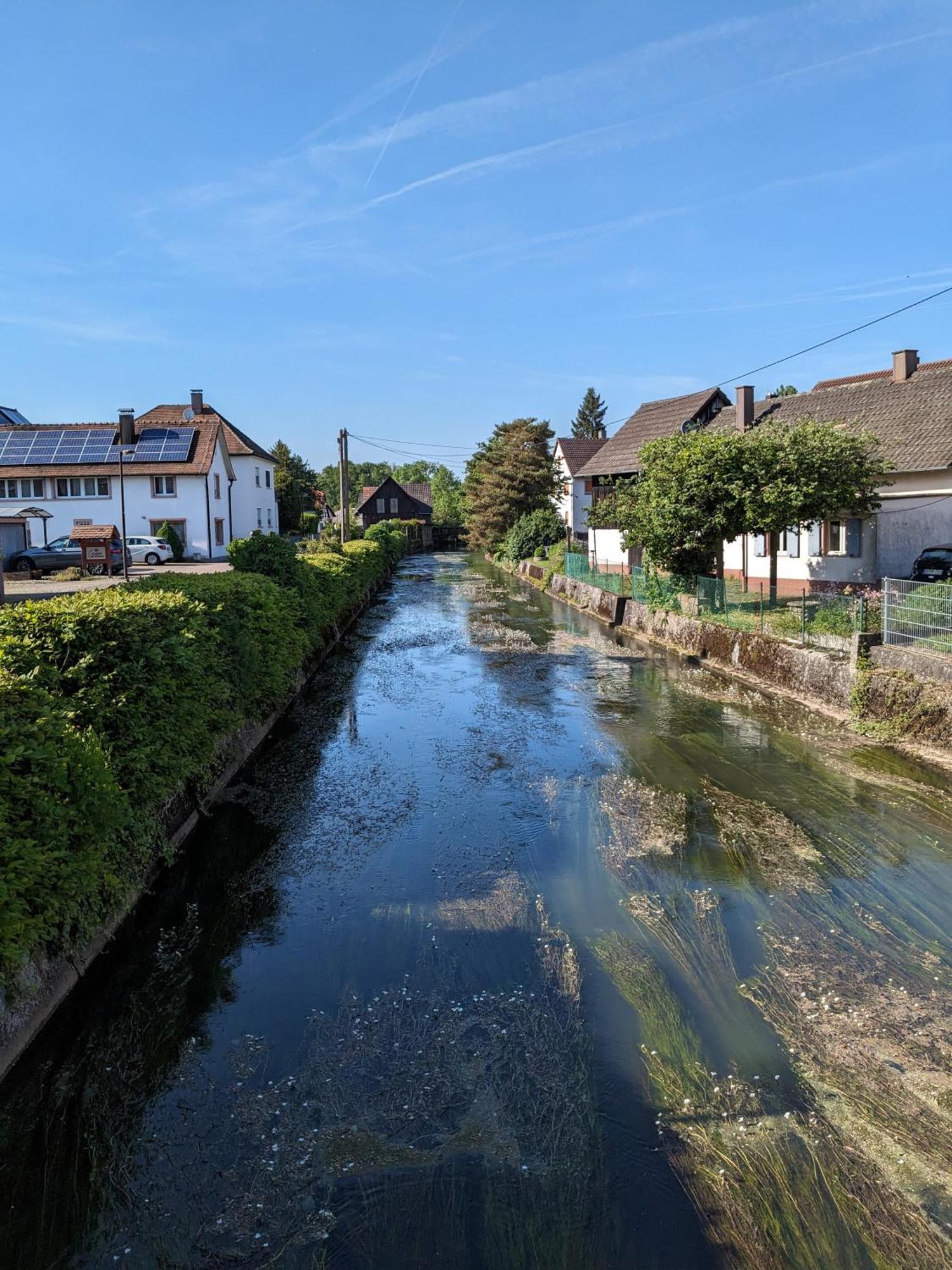 Badischer Neubau-Ruhe-Kunst-Natur Rheinau Exterior foto